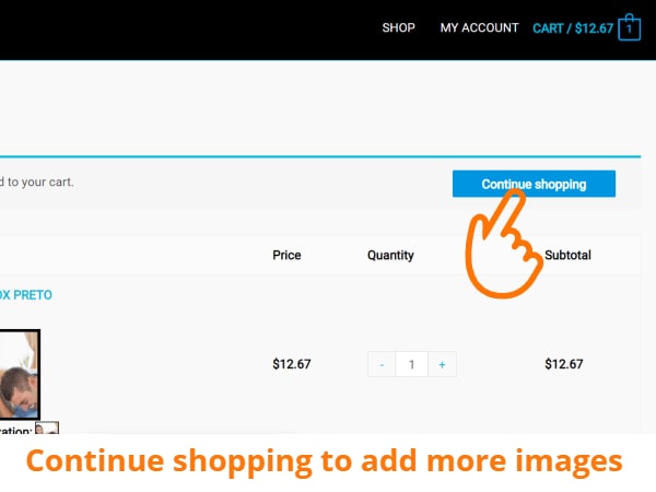 Continue shopping until you have added all images to the cart